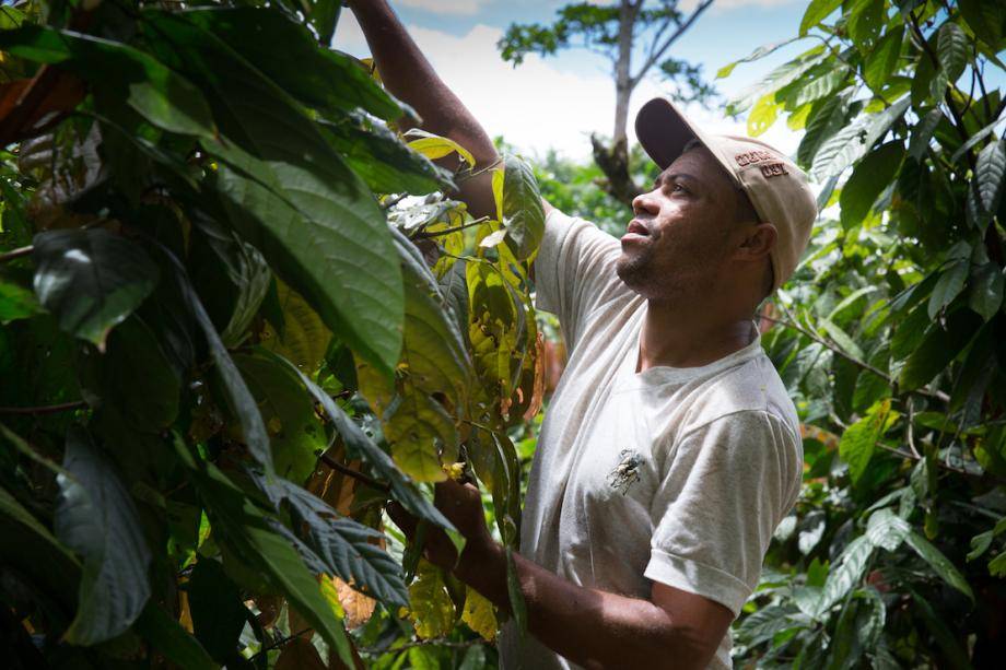 forest positive eliminate deforestation Barry Callebaut