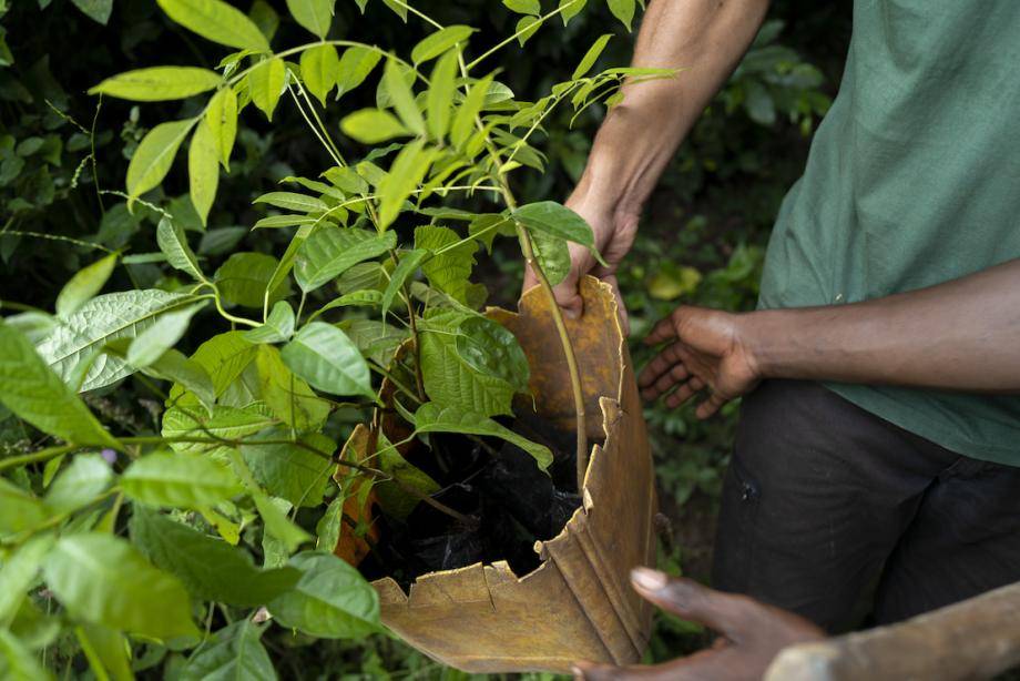 on-farm ecosystems