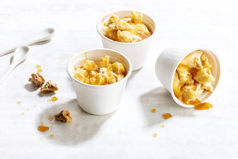cacaofruit concentrate ice cream