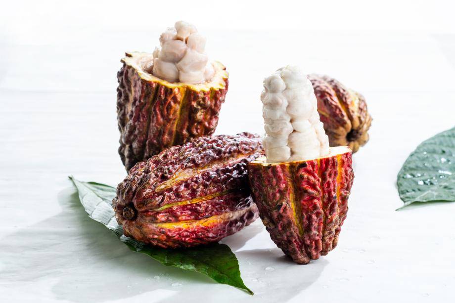 cacaofruit cabosse naturals
