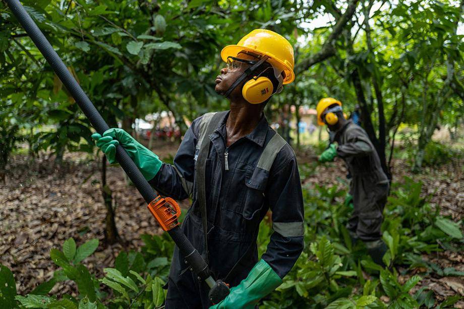 Labor team pruning