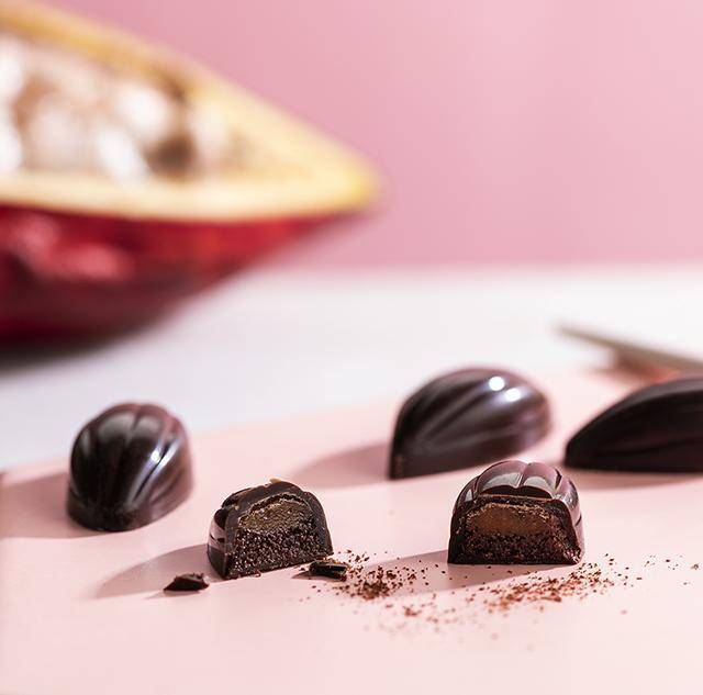 cacaofruit pralines