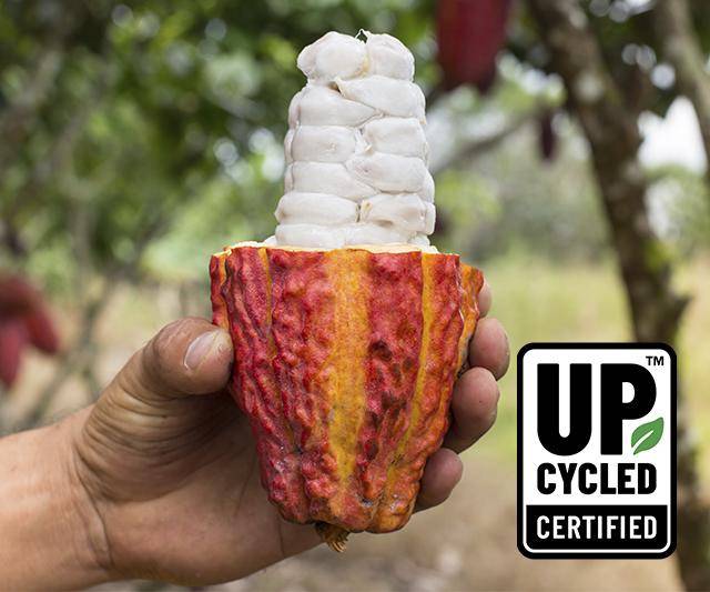 held up upcycled certified cacaofruit