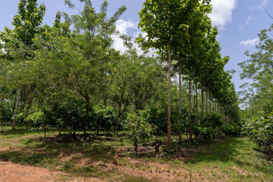 Thriving Nature 2023 Barry Callebaut
