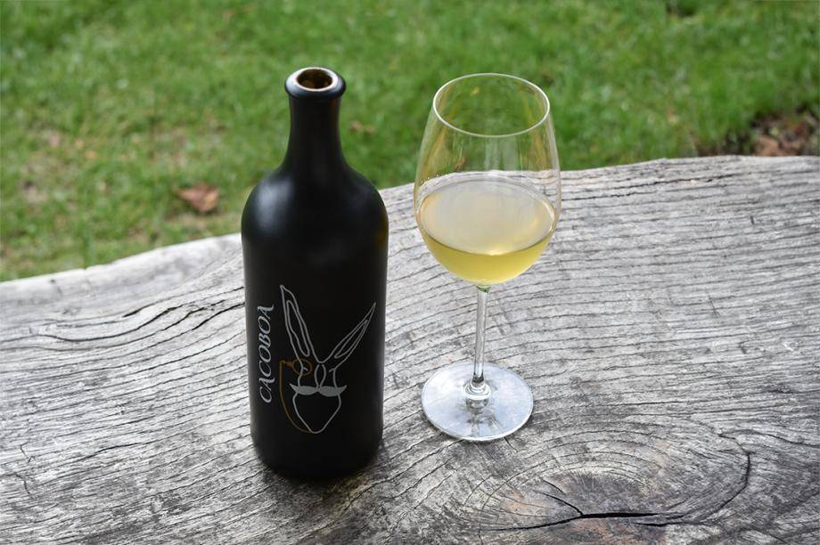 CocaBoa cacaofruit wine
