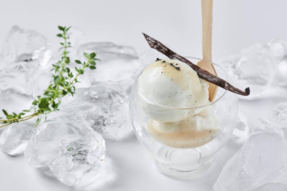 cacaofruit ice cream