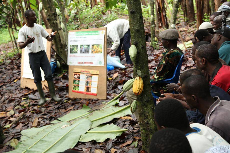 Barry Callebaut Group - Sustainability Reporting