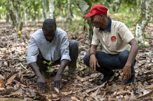 Cocoa Horizons Progress Report 2023/24