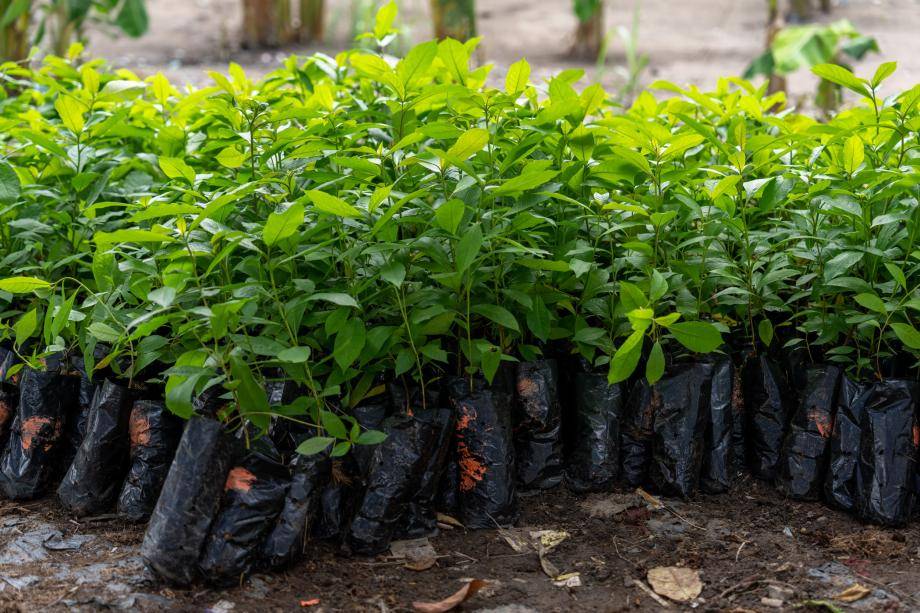 Environmental Protection