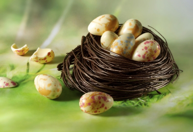 Bird’s nest with white chocolate quail eggs