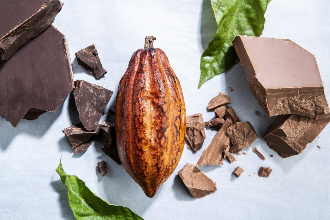 Wholefruit Chocolate
