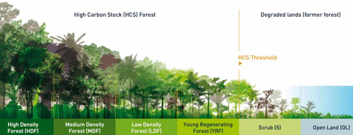 Deforestation graphic