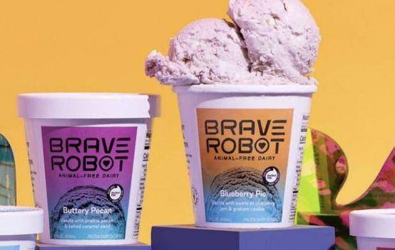 Brave Robot (USA)