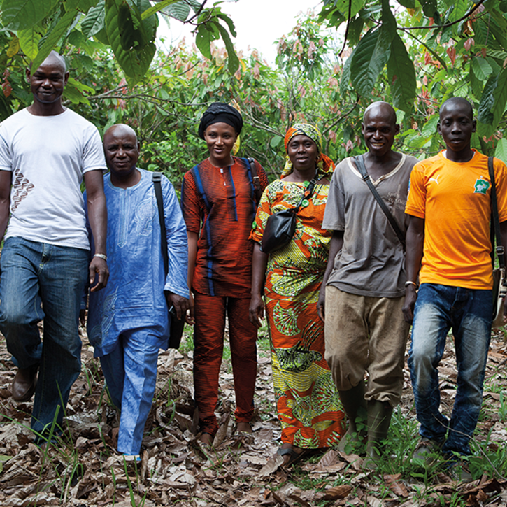 Van Houten sustainable chocolate
