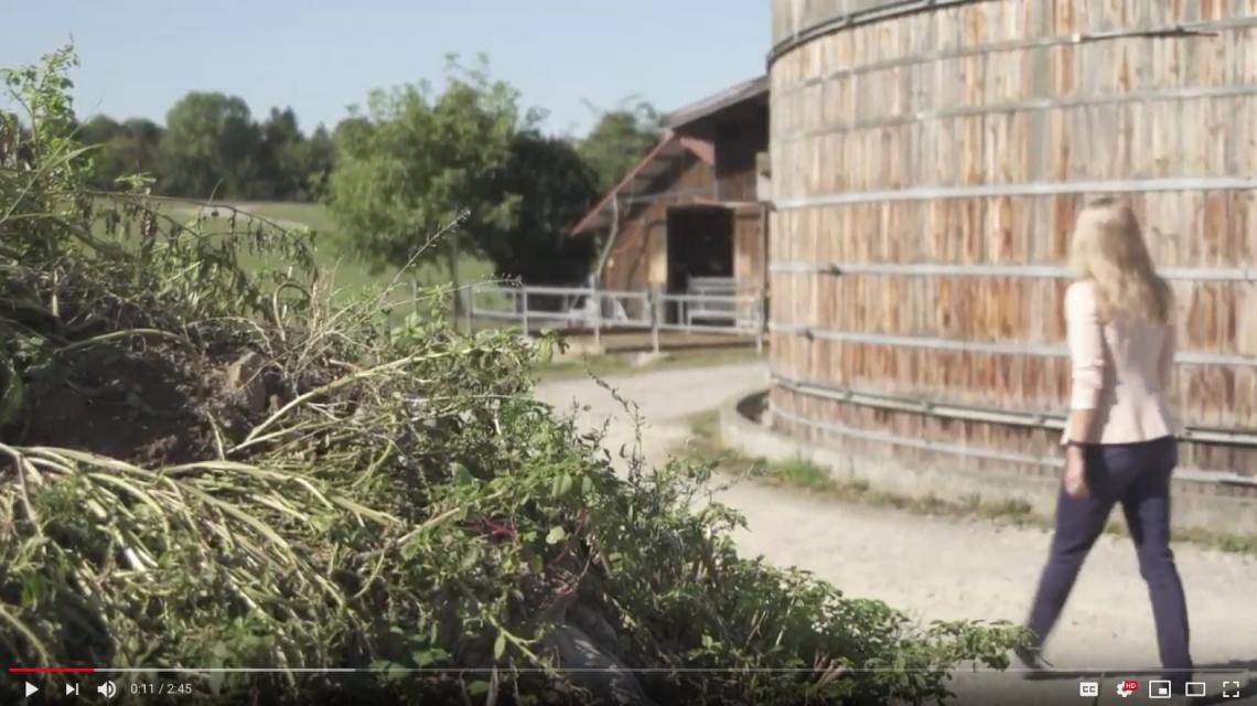 greener-pastures-video
