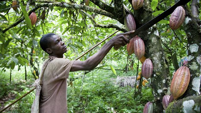 Barry Callebaut supports ambitious carbon emission reduction targets