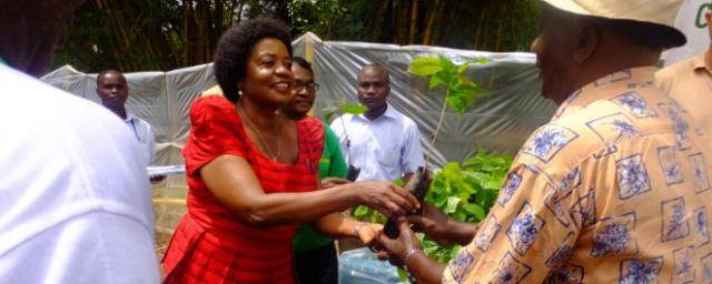 Ceremony - handing over cocoa seedlings