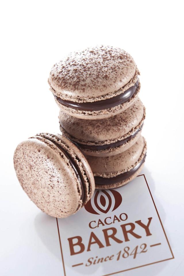 Cacao Barry macarons