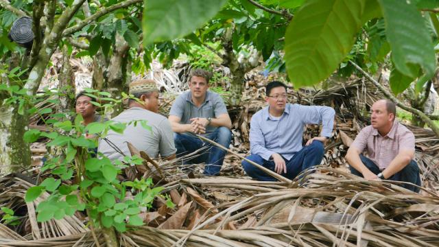 Sharing of cocoa cultivation experience