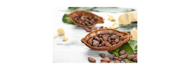 Barry Callabaut Risk Management Resources