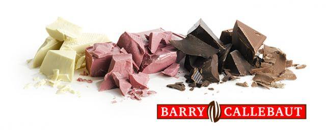 Barry Callebaut Chocolate Blocks