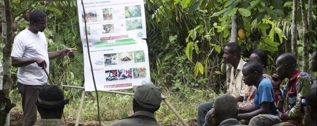 farmer field school