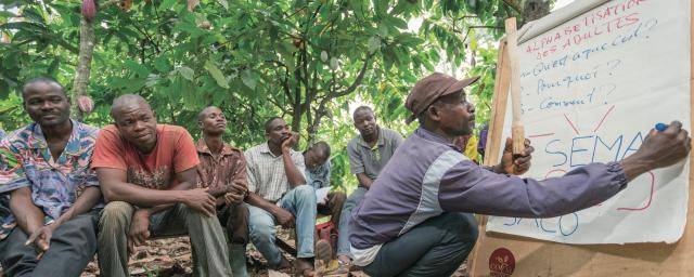 Cocoa farmer training in Côte d'Ivoire