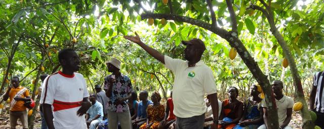 farmer field school