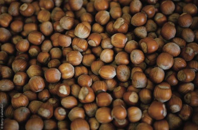 La Morella hazelnuts