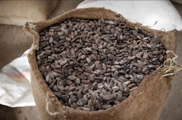 cocoa beans