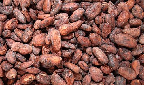 Cocoa beans