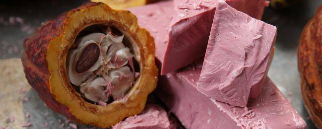 Barry Callebaut formally launches ruby,  the fourth type, in the United States and Canada