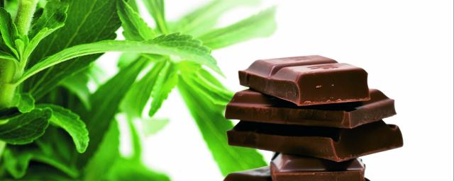 Stevia-based chocolate