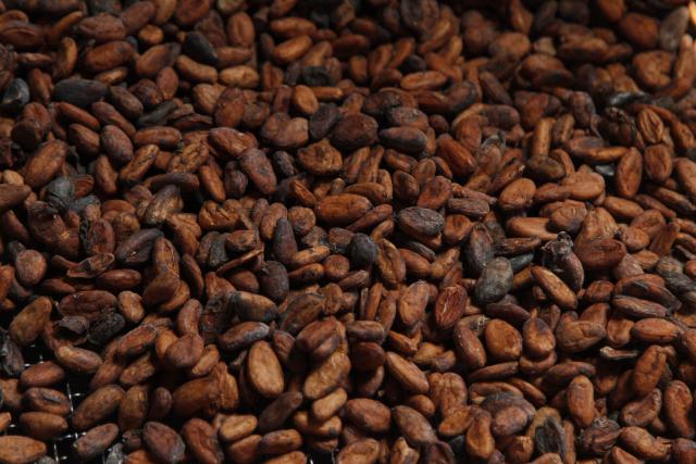 cocoa beans