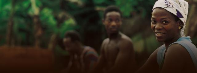 Sustainable cocoa