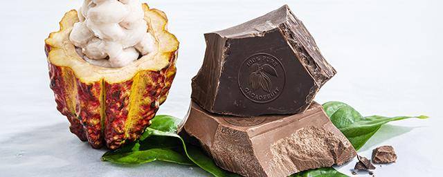 Barry Callebaut WholeFruit Chocolate