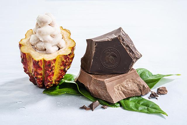 Barry Callebaut WholeFruit Chocolate