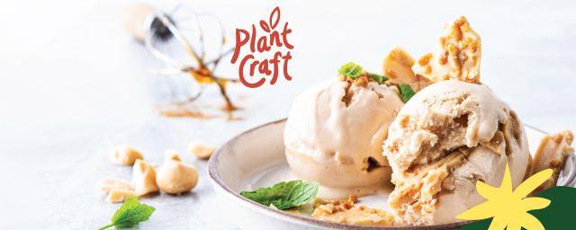 Discover Our Plant Craft Product Range Vegan And Dairy Free