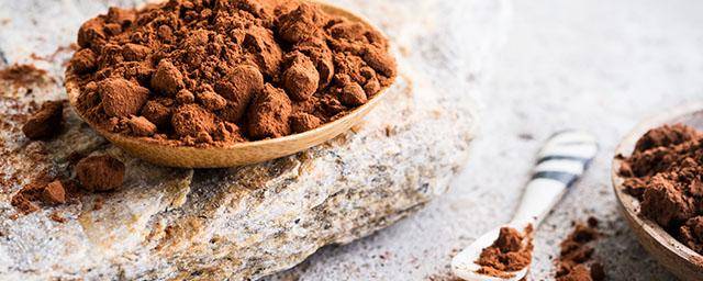 Organic Cocoa Powders from Bensdorp