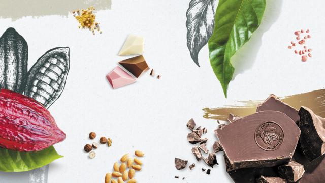 Barry Callebaut Group – Half-Year Results, Fiscal Year 2019/20