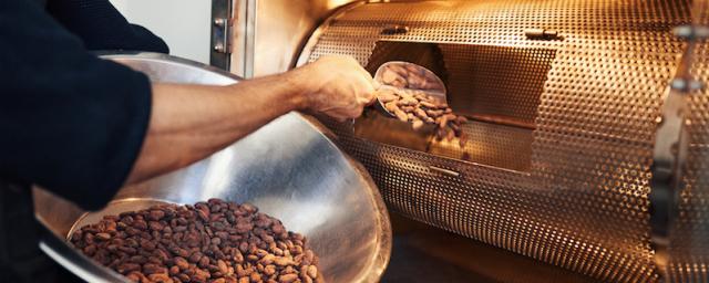 Chocolate bean to bar