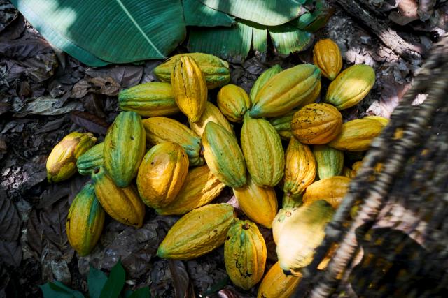 Barry Callebaut Forever Chocolate Sustainalytics