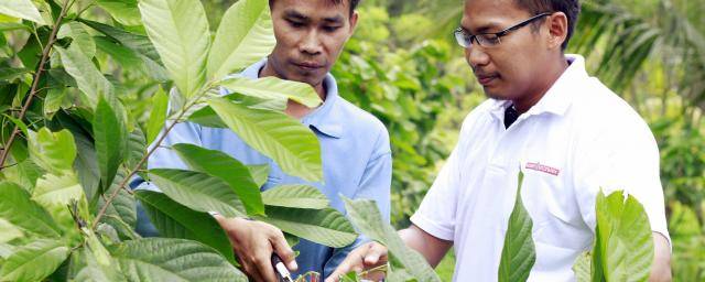 Barry Callebaut - Sustainability Reporting