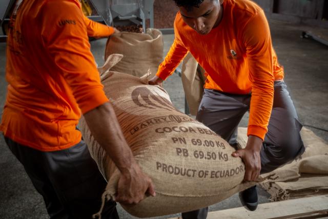 Ecuadorian cocoa farmers sustainability