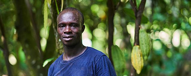 Cocoa Horizons cocoa farmer