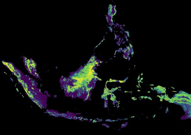 There is growing evidence showing a causal relationship between deforestation, the  acceleration of climate change, and the extinction of precious flora and fauna. But identifying and measuring deforestation and the cultivation of specific commodities at large scale and in sufficient detail is notoriously difficult. Committed to finding a solution for the cocoa and chocolate industry, in 2017 Barry Callebaut partnered with ETH Zurich (Swiss Federal Institute of Technology) to develop a new tool to address t