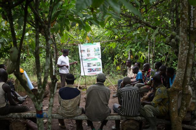 farmer field school