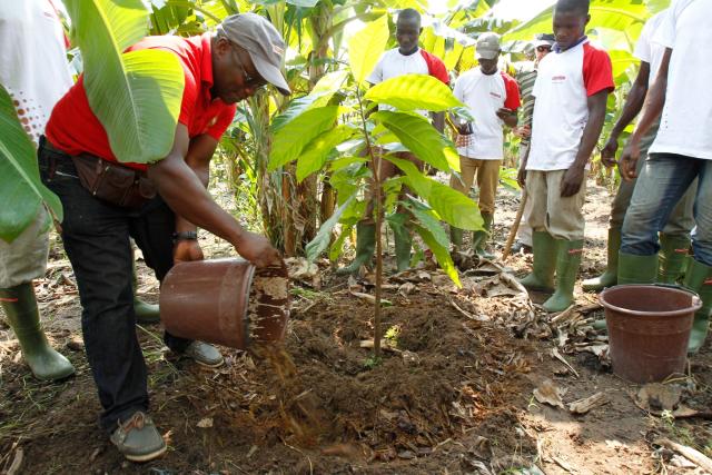 Cocoa farmers in West Africa