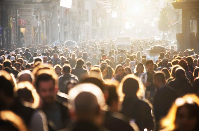 Consumer Trends & Insights
