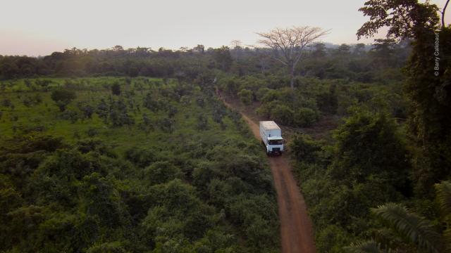 Cocoa Horizons Truck